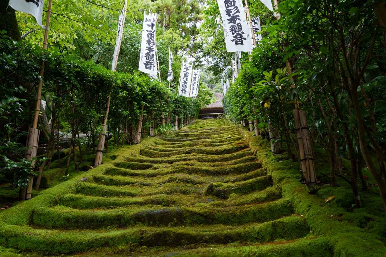 画像2: 【体験&フォトスポット】鎌倉最古のお寺で歴史を感じる|杉本寺