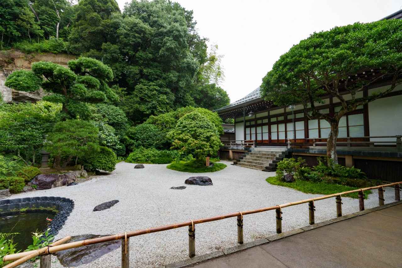 画像3: 【体験&フォトスポット】日本の風景を楽しむ穴場のお寺|報国寺