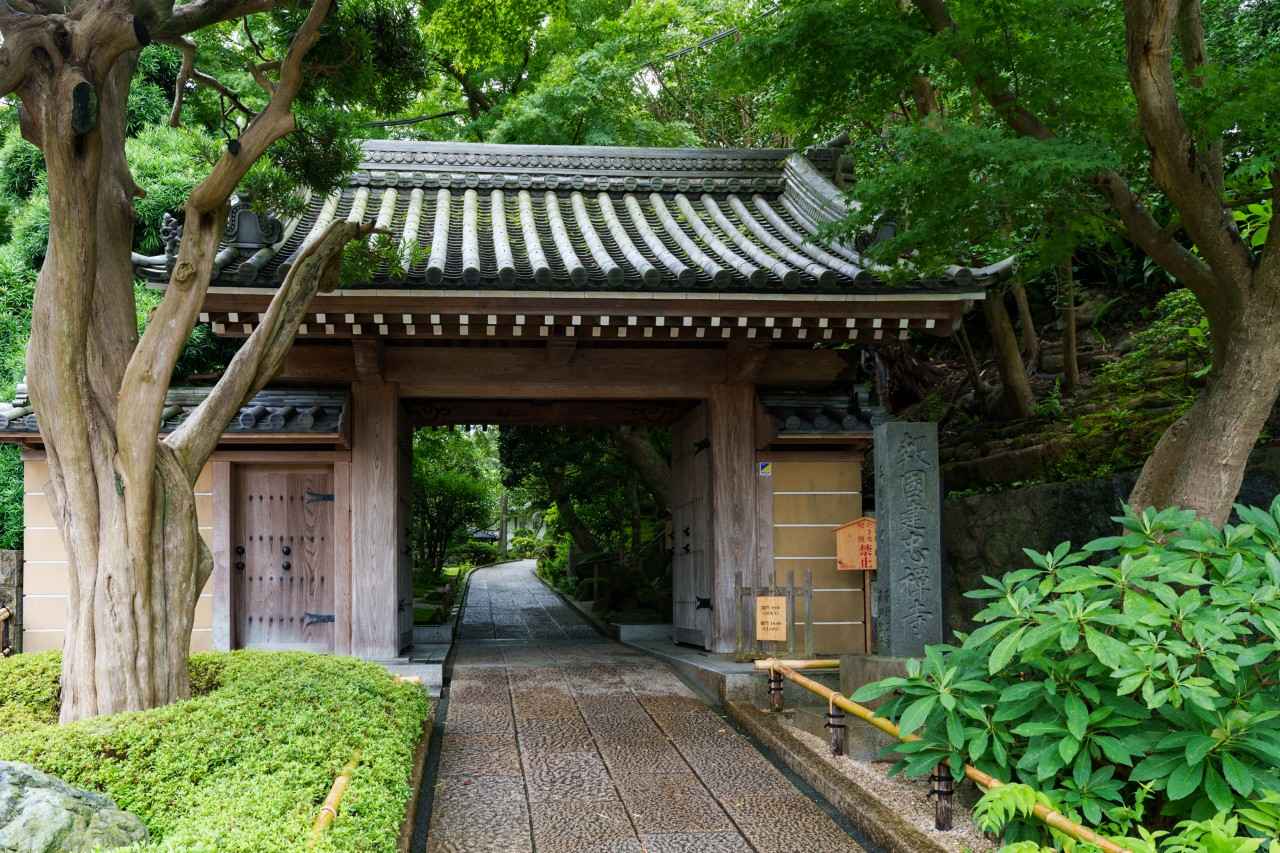 画像1: 【体験&フォトスポット】日本の風景を楽しむ穴場のお寺|報国寺