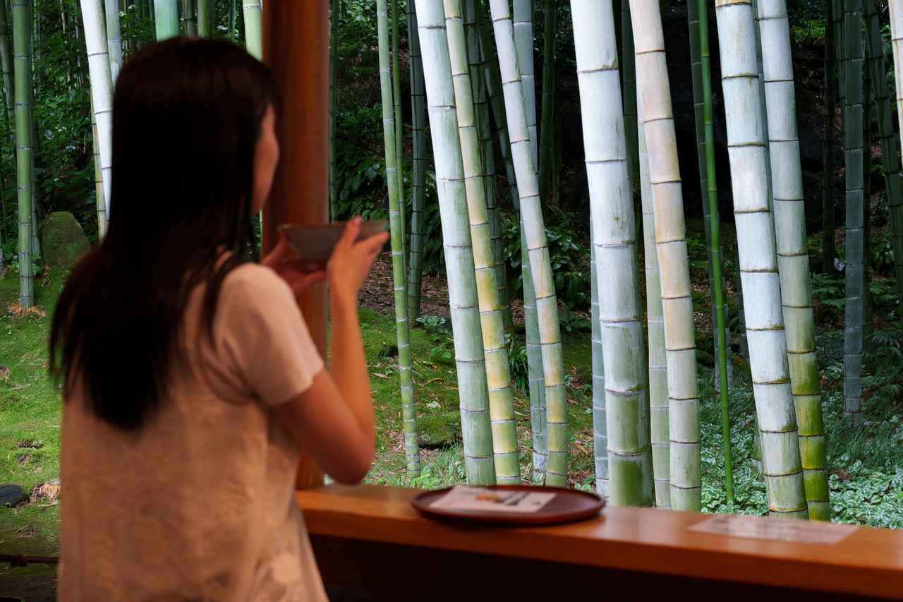 画像5: 【体験&フォトスポット】日本の風景を楽しむ穴場のお寺|報国寺