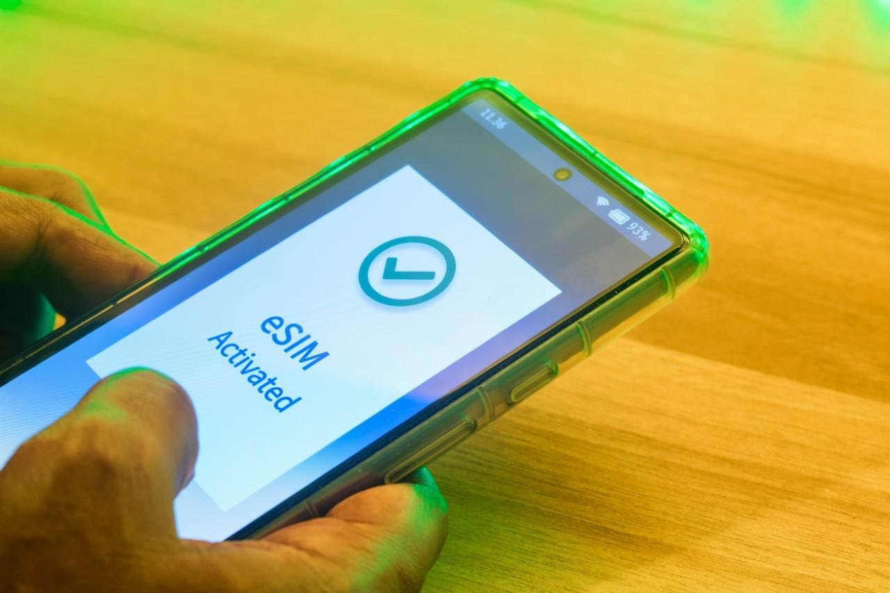 画像: iStock/Debalina Ghosh