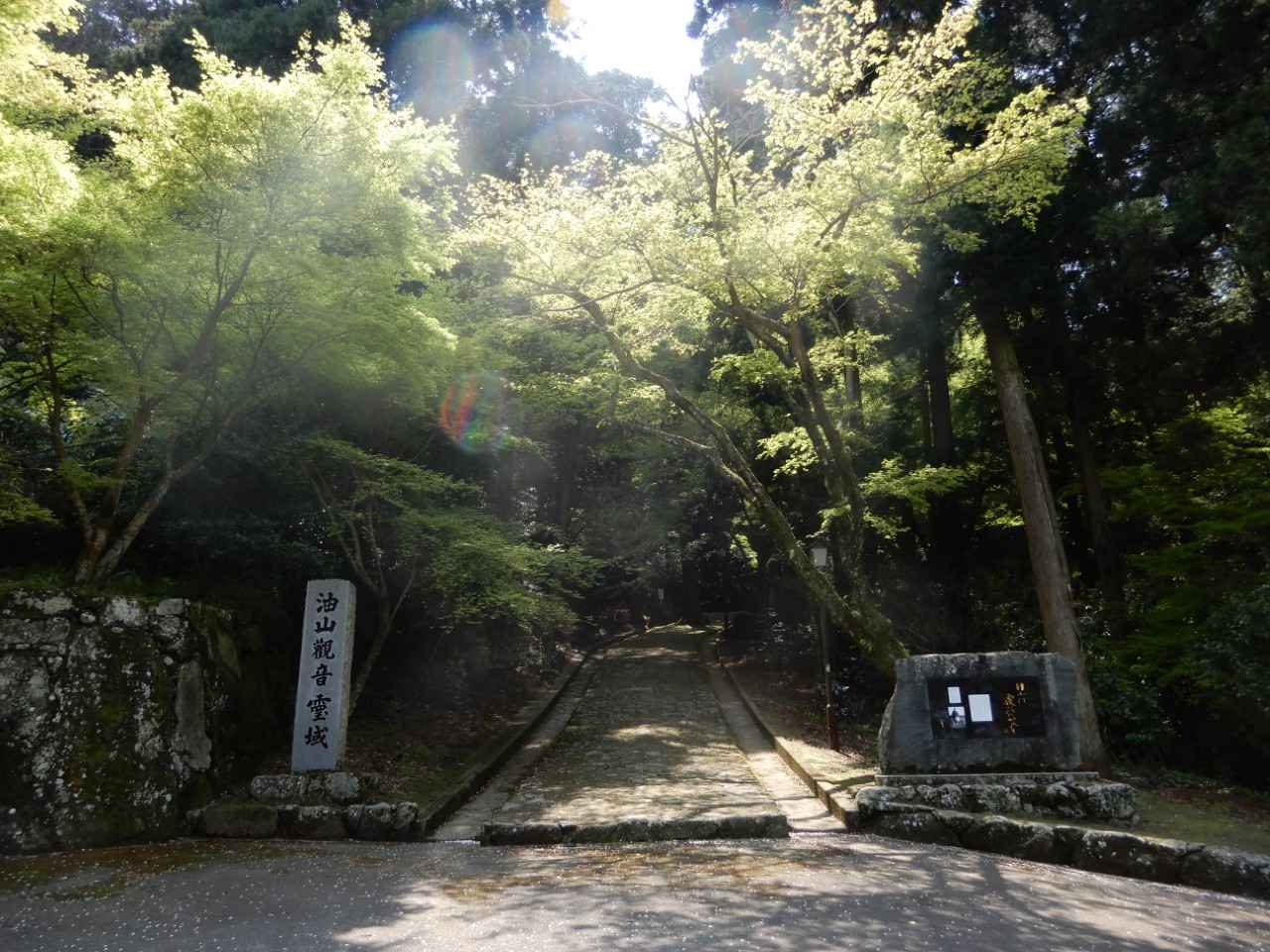 画像1: 【福岡】禅の世界に浸る静かなひとときを「油山観音」