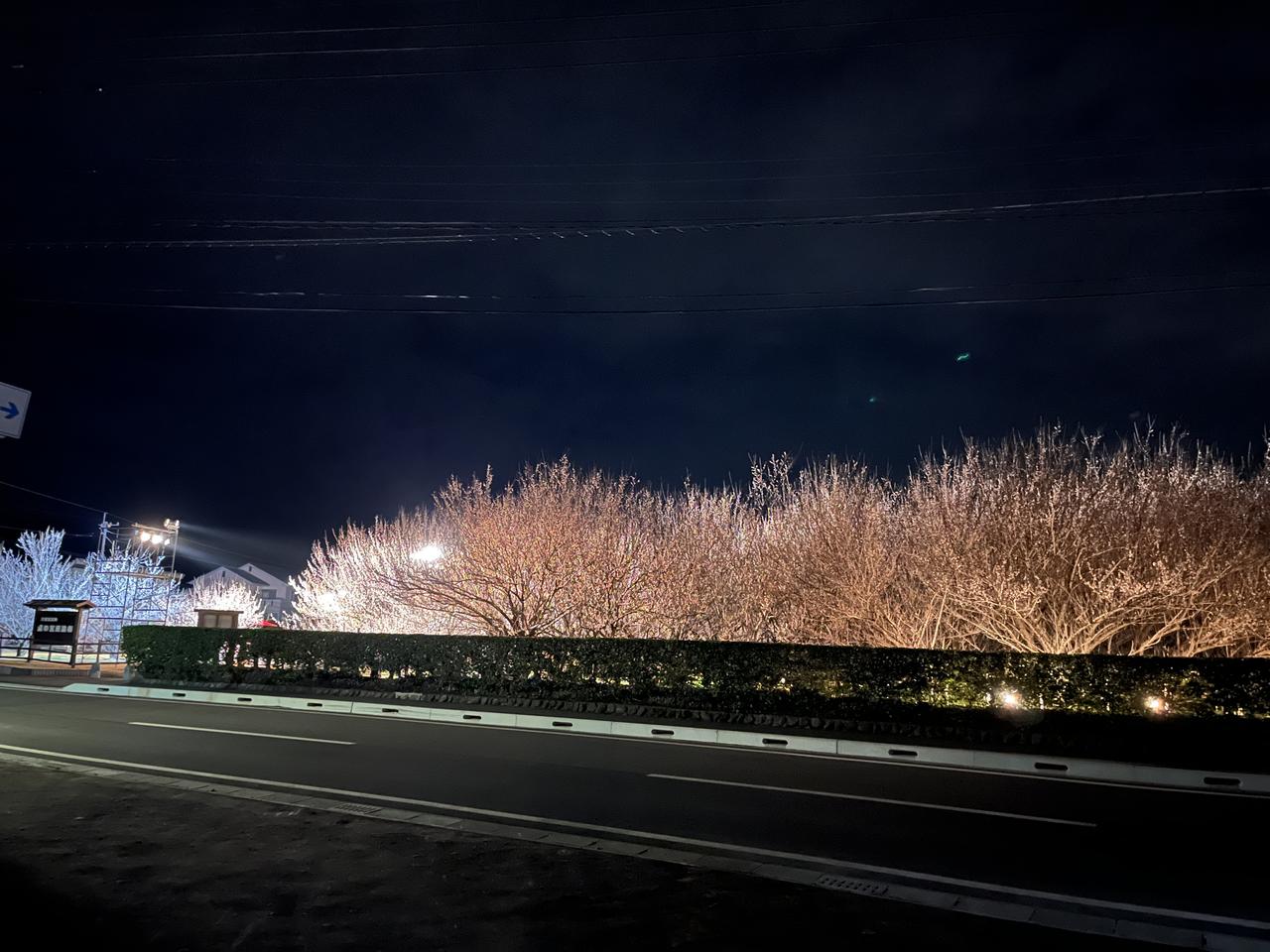 画像3: 歴史・文化：新田（にゅうた）神楽と新田原（にゅうたばる）古墳群