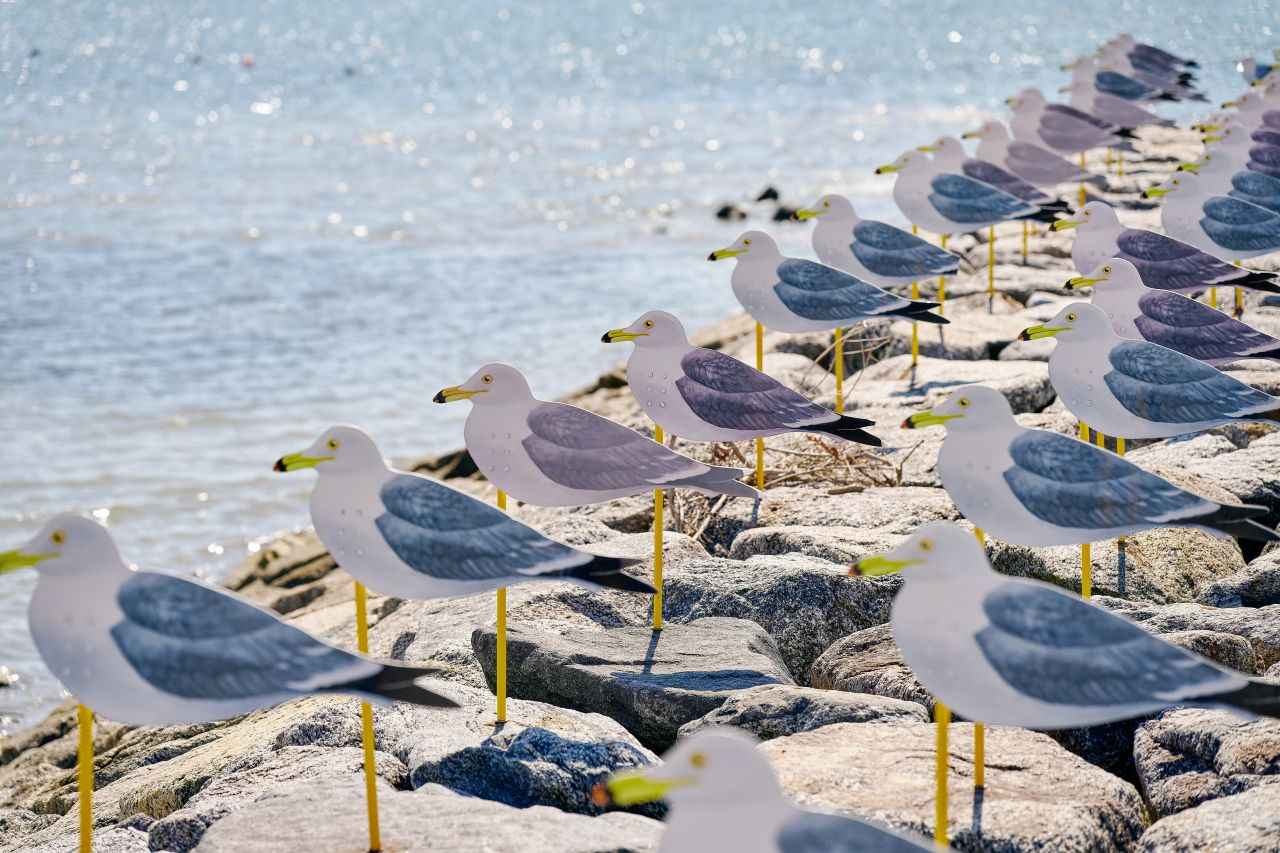画像: 海と空と風と。カモメと一緒にゆらり揺れて「カモメの駐車場」