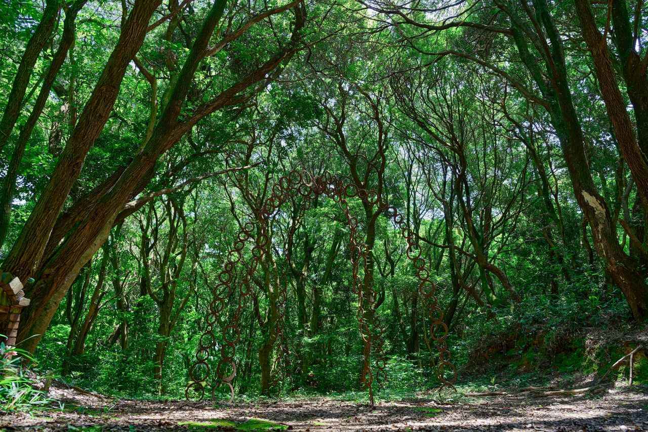 画像1: 歩くほどに澄んでいく、祠とアートの参道の先に「空の水―山」