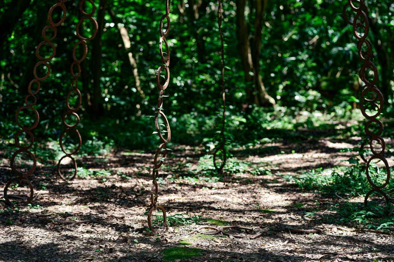 画像2: 歩くほどに澄んでいく、祠とアートの参道の先に「空の水―山」