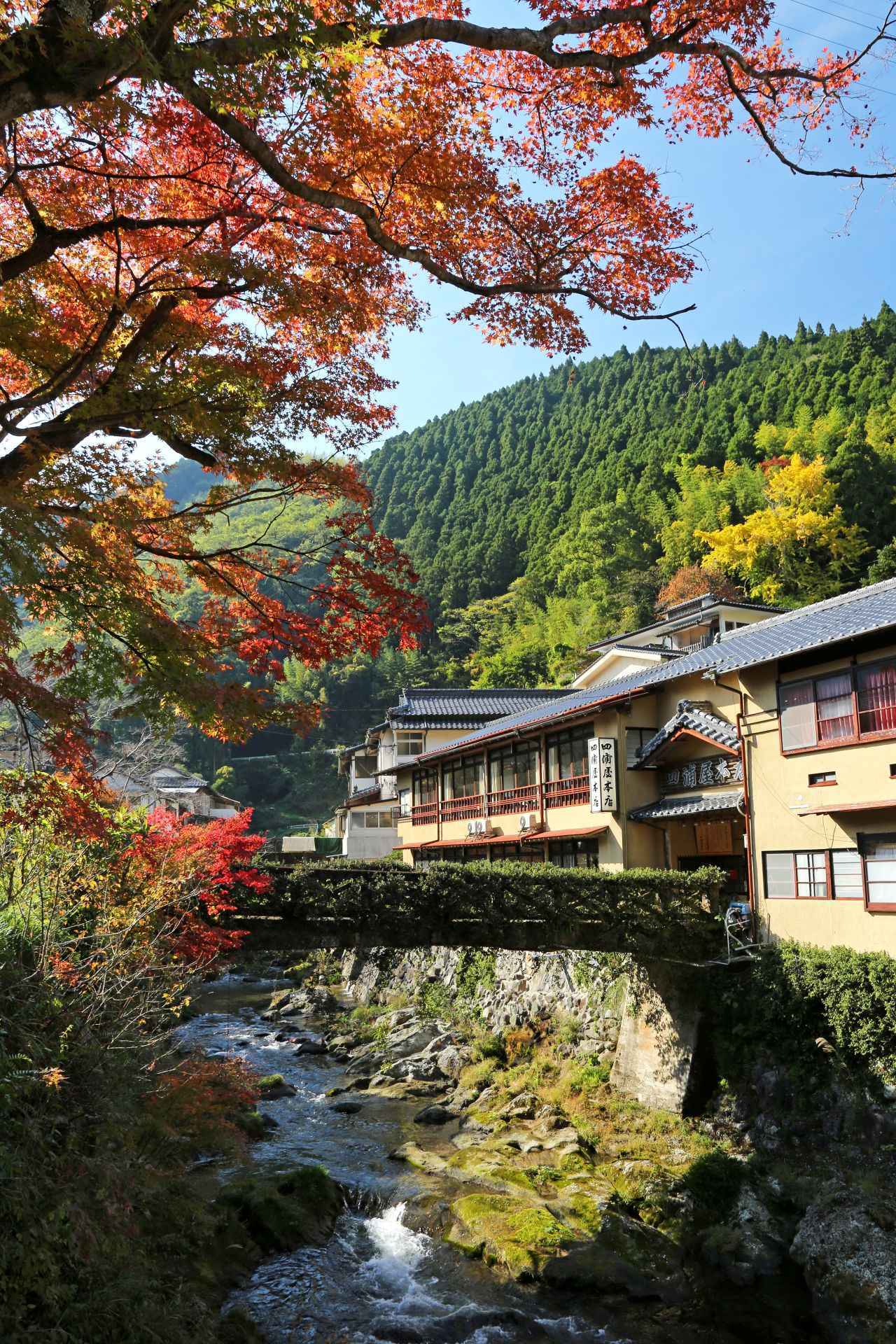 画像4: 水俣の魅力を凝縮！熊本出身CAが本当におすすめしたい1日モデルコース