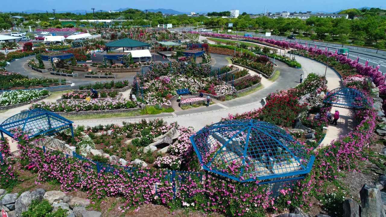 画像1: 水俣市提供