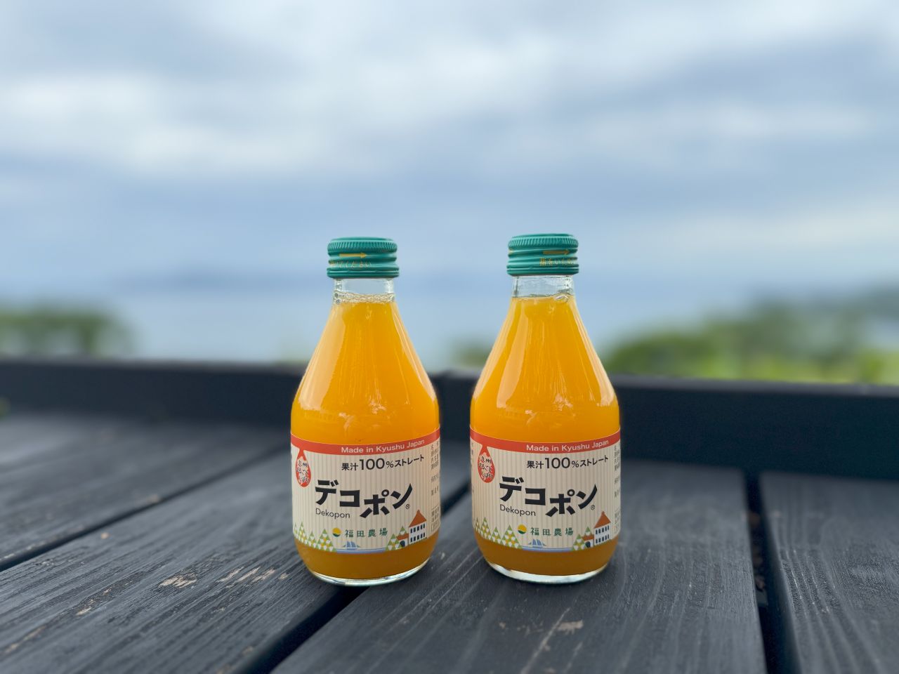 画像2: 11:25～12:00｜不知火海を望むパノラマビュー！「福田農場」でひと休み