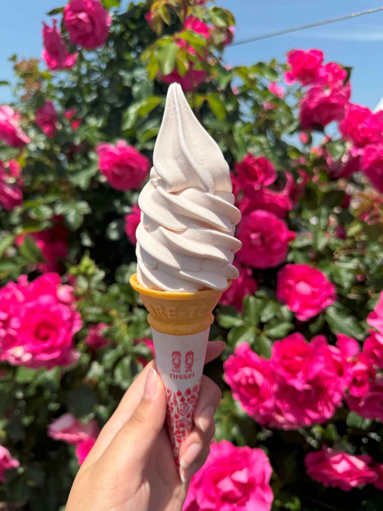 画像2: 水俣の魅力を凝縮！熊本出身CAが本当におすすめしたい1日モデルコース