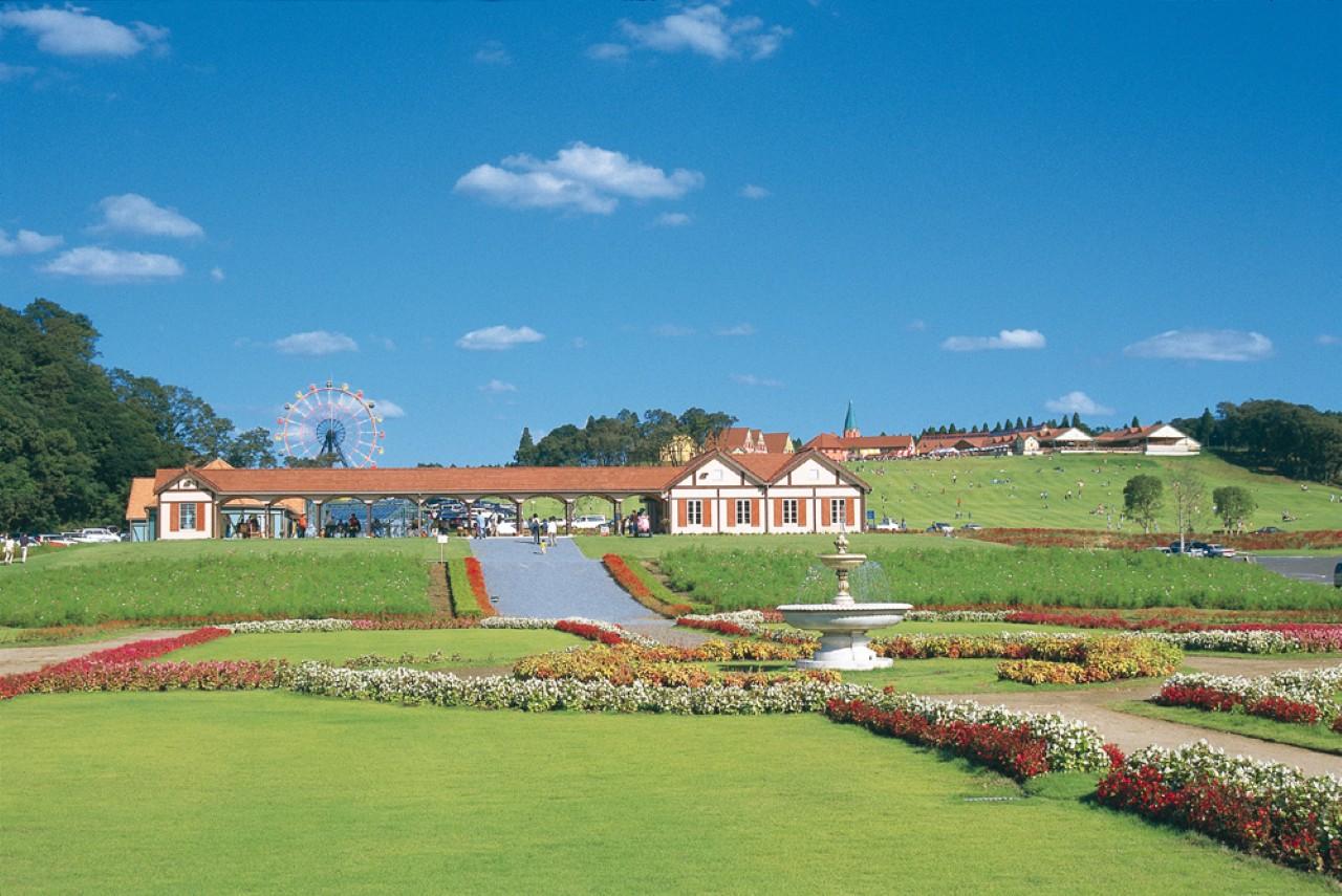 画像1: 【千葉】房総のヨーロピアン大草原が楽しめる「東京ドイツ村」