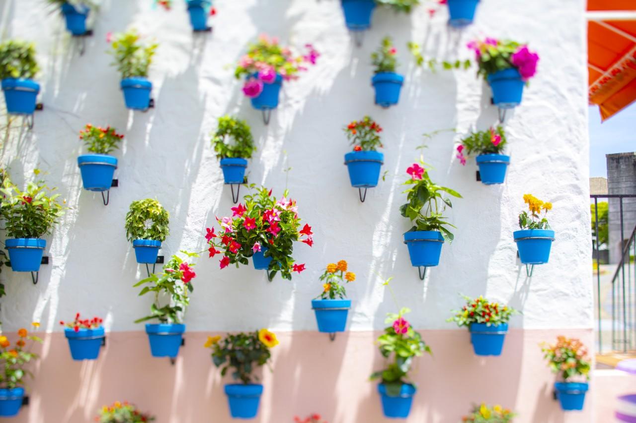 画像3: 【三重】情熱の国へひとっ飛び！「志摩スペイン村」