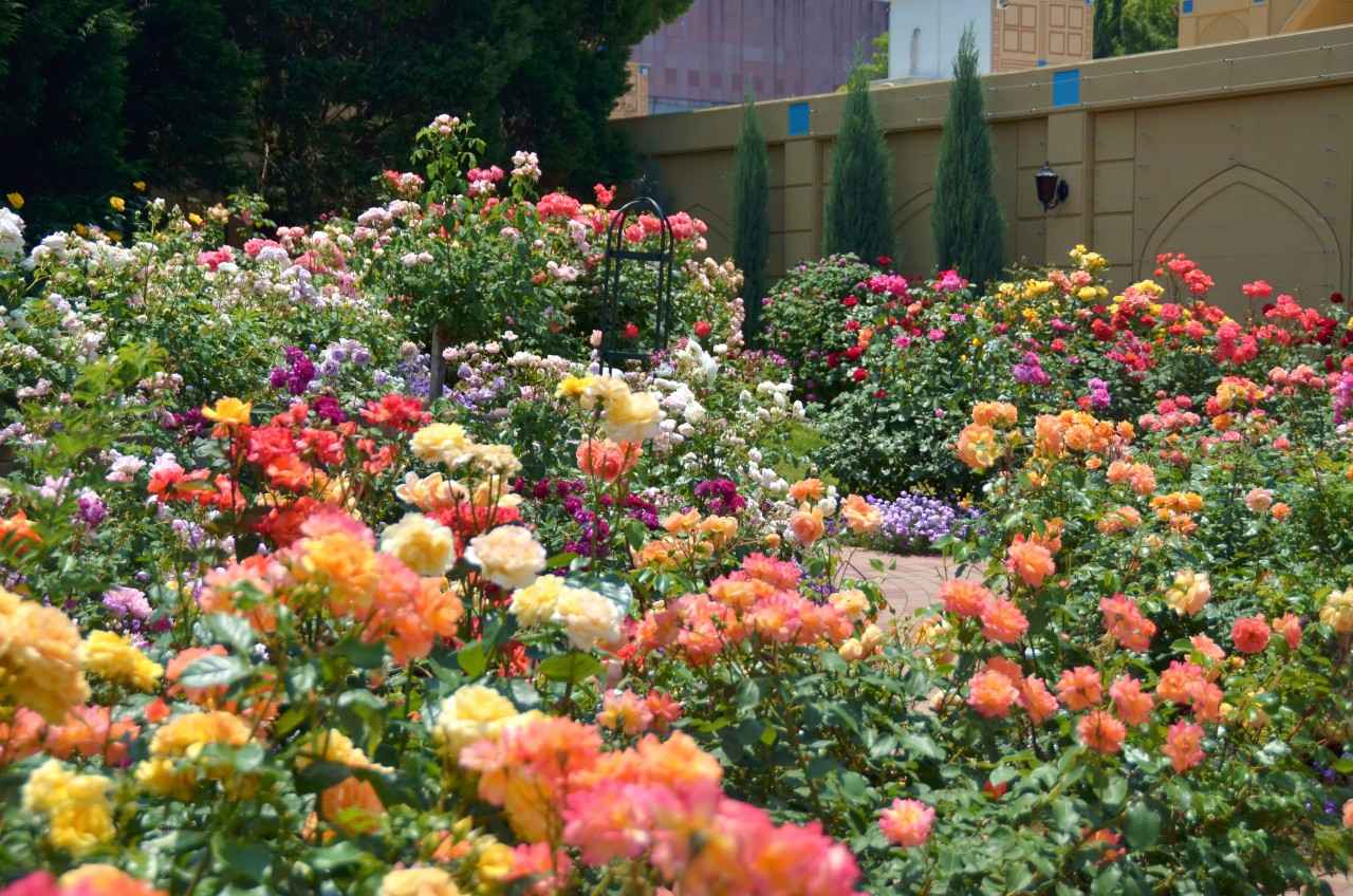 画像2: 【香川】異国の名景と絶景アトラクションを一度に体験「レオマリゾート」