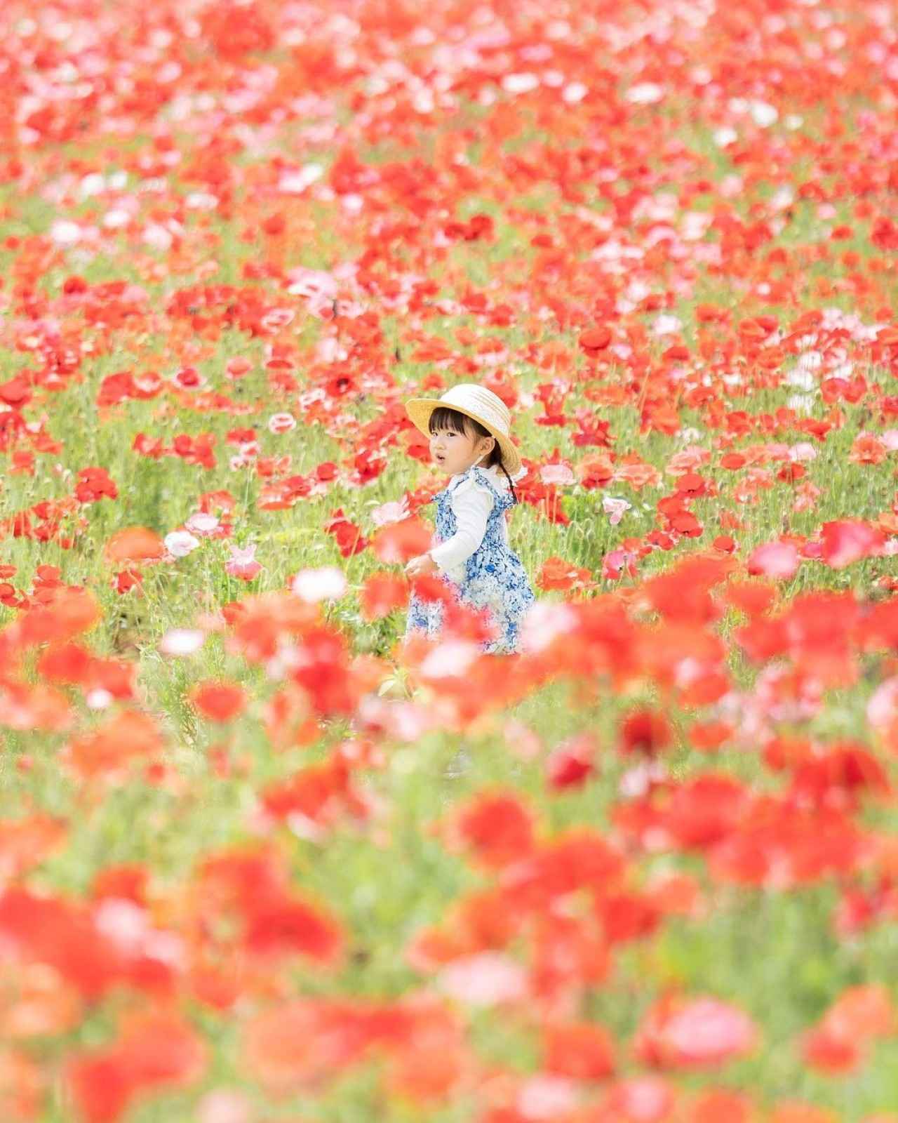 画像2: 全国の個性派テーマパーク10選！ 大人がハマる人気スポットの魅力を大解剖