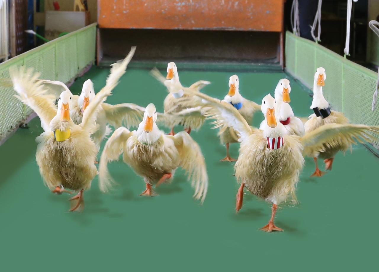 画像3: 【大分】絶景とレトロ感に浸れる「別府ケーブルラクテンチ」