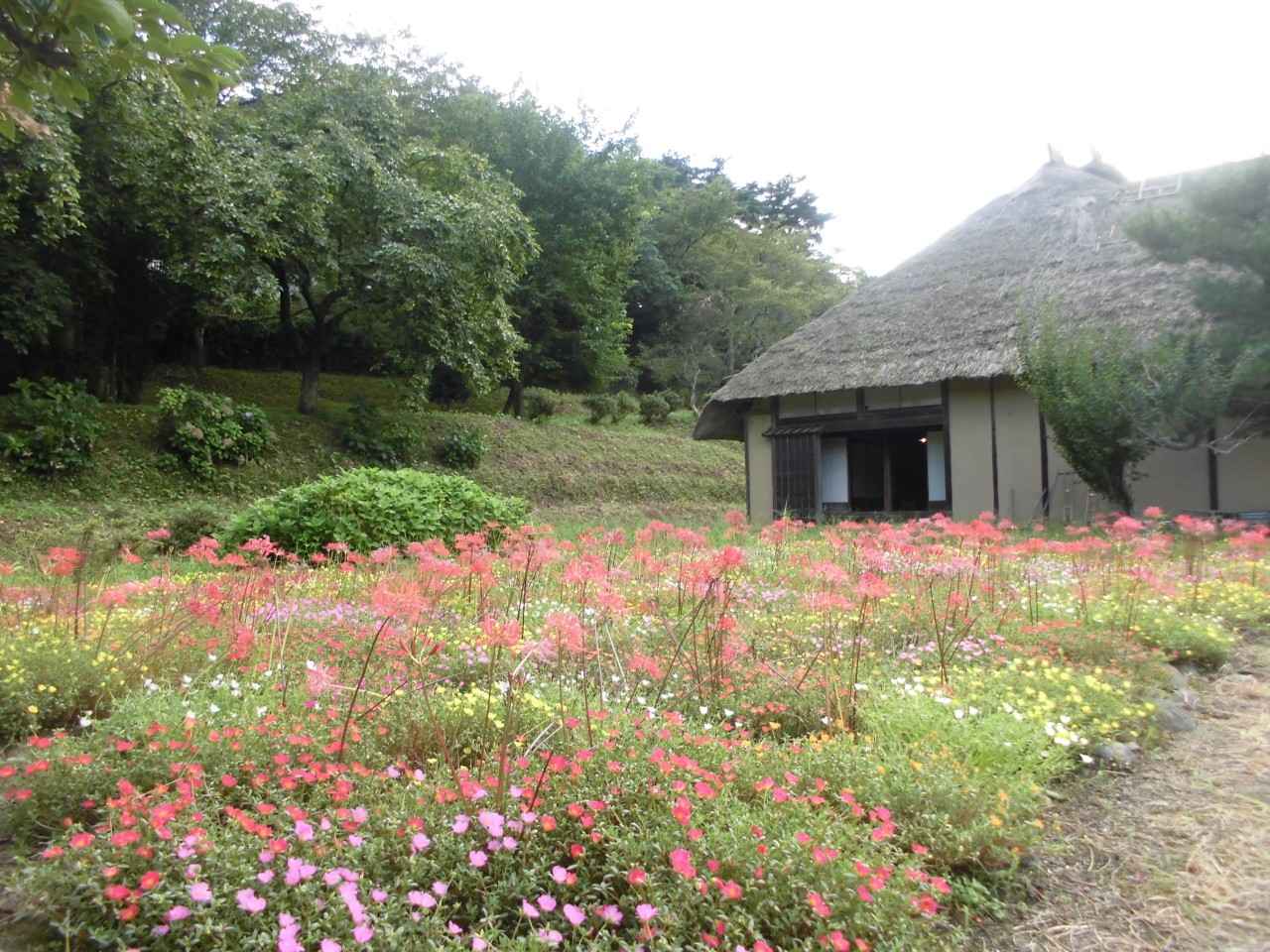 画像2: 鬼婆伝説の里を染める、美しい花々