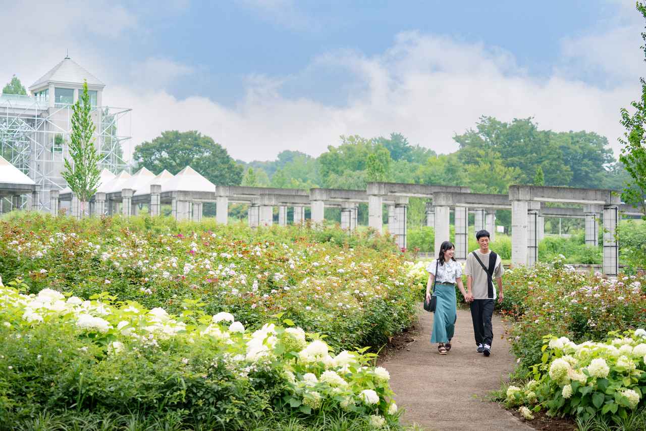 画像1: テーマごとに分かれた5つのエリア