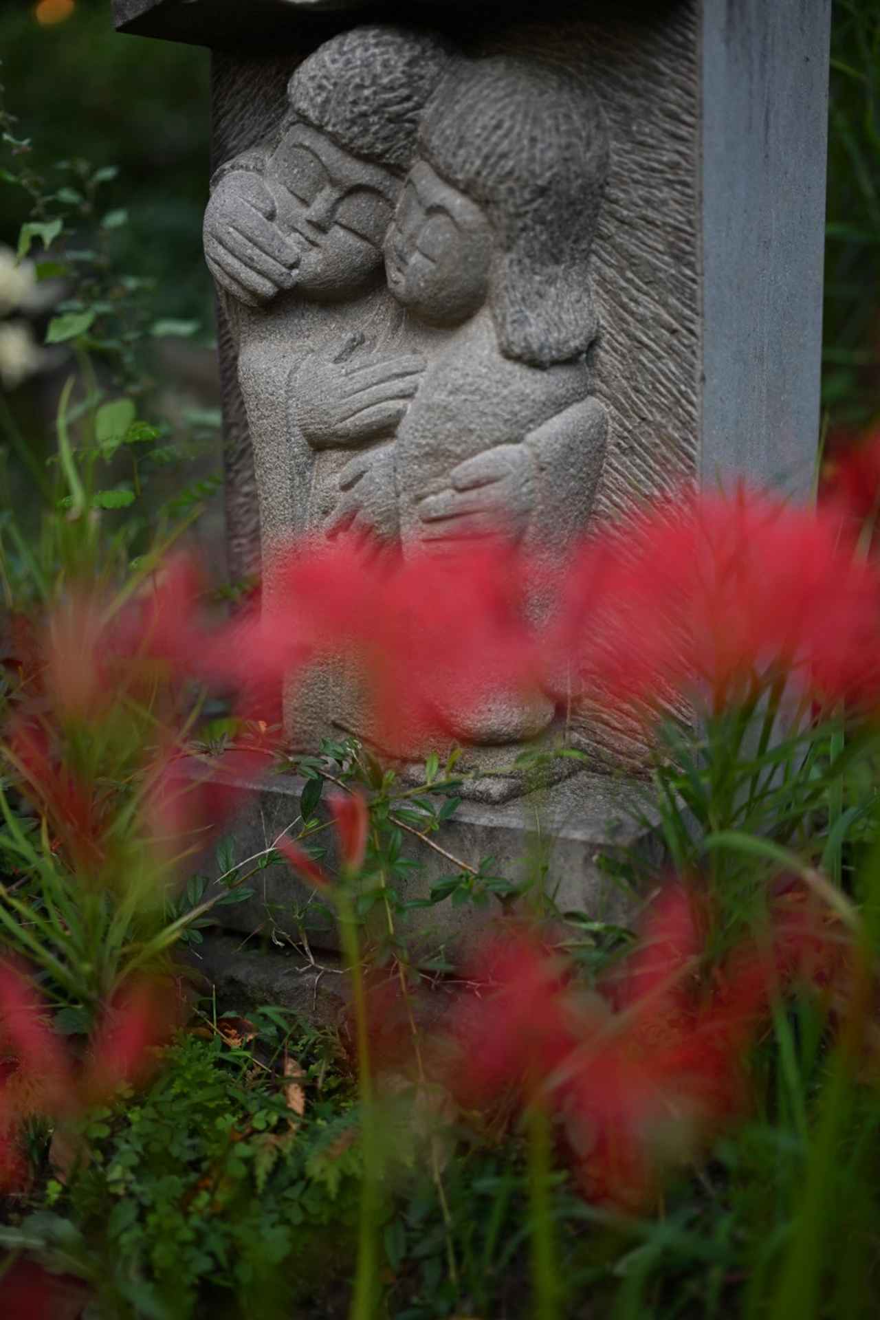 画像1: 【全国】彼岸花の名所11選！見頃時期やおすすめの穴場スポットまで紹介