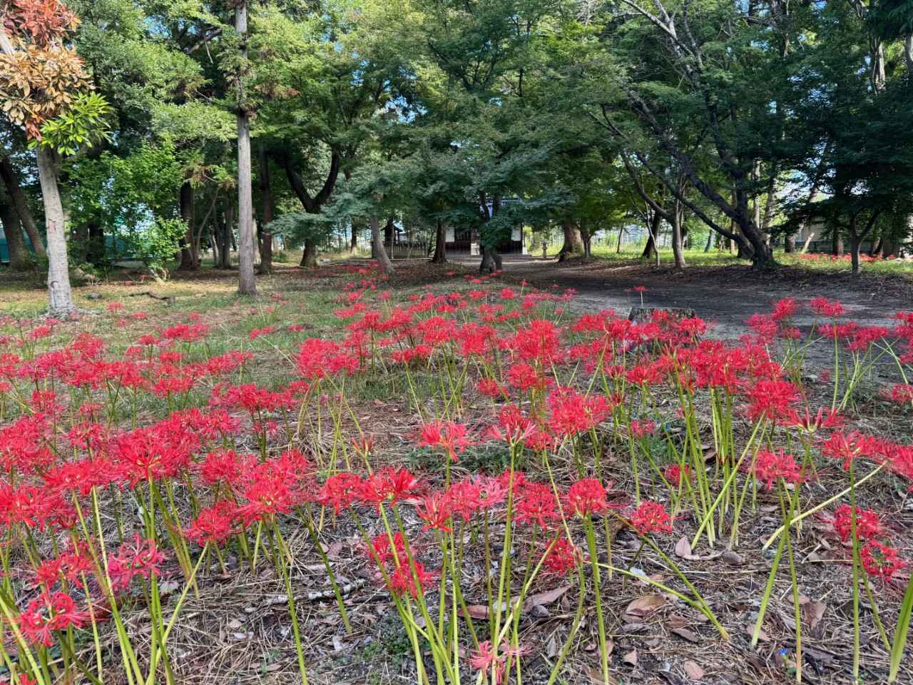 画像: 写真は2024年時の様子