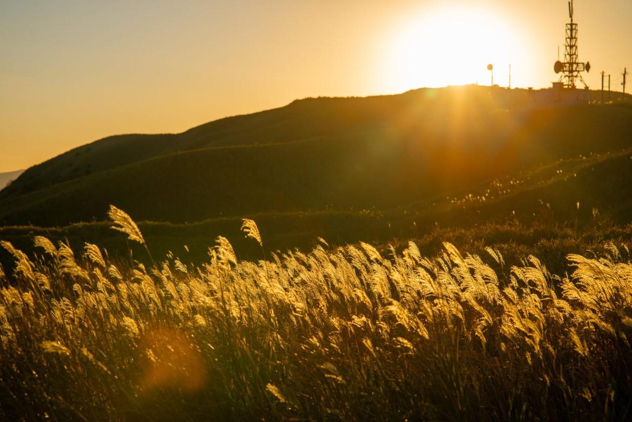 画像4: スカイメイトでぶっつけ本番・熊本旅！気分で選ぶ自由な旅のすすめ