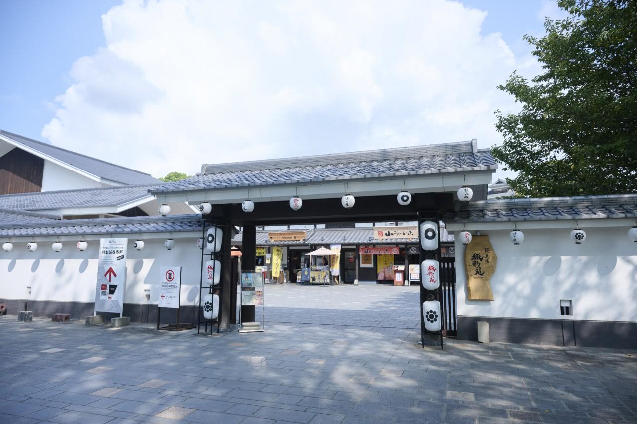 画像1: スカイメイトでぶっつけ本番・熊本旅！気分で選ぶ自由な旅のすすめ