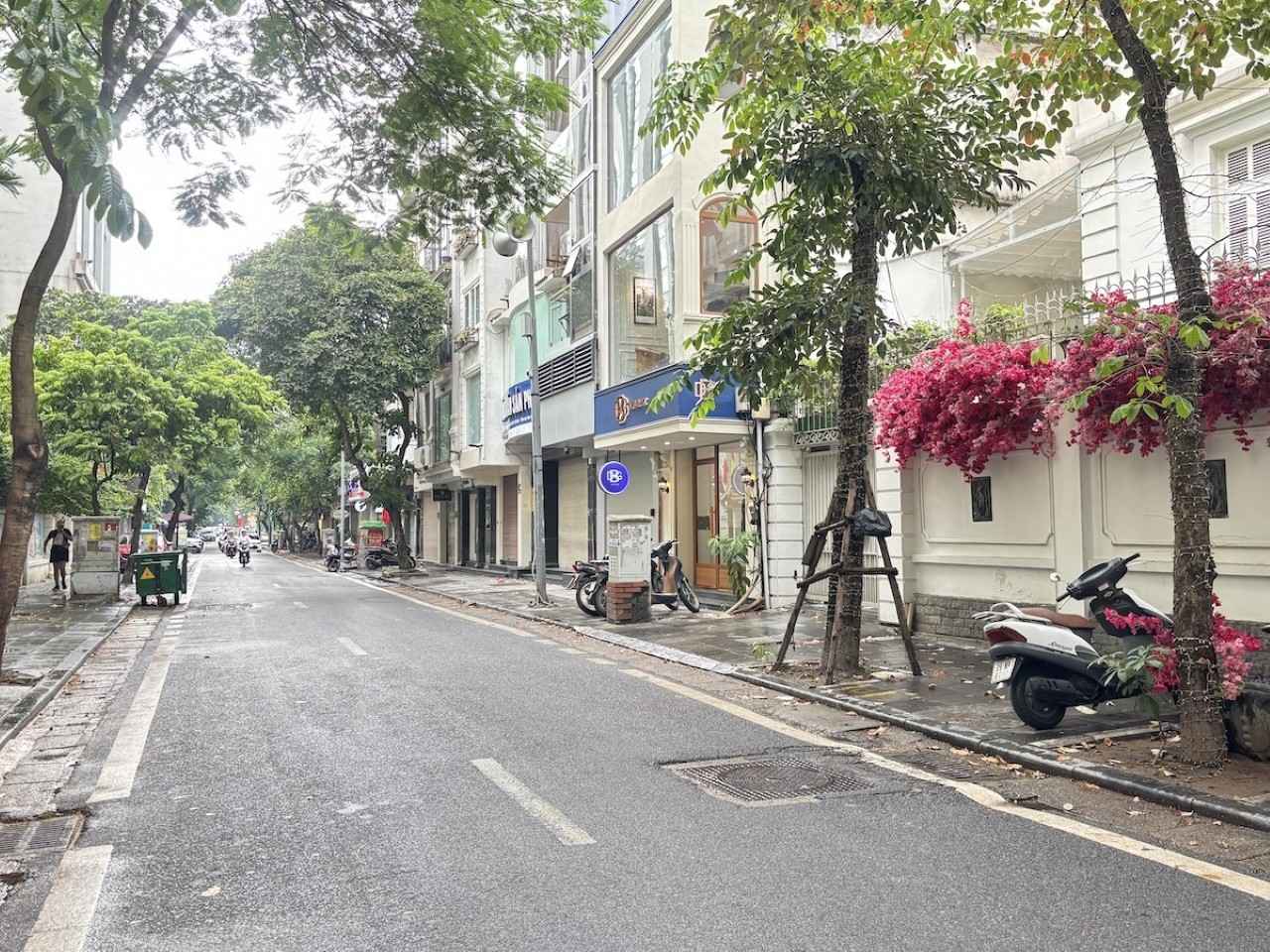 画像: トーニュオム通り