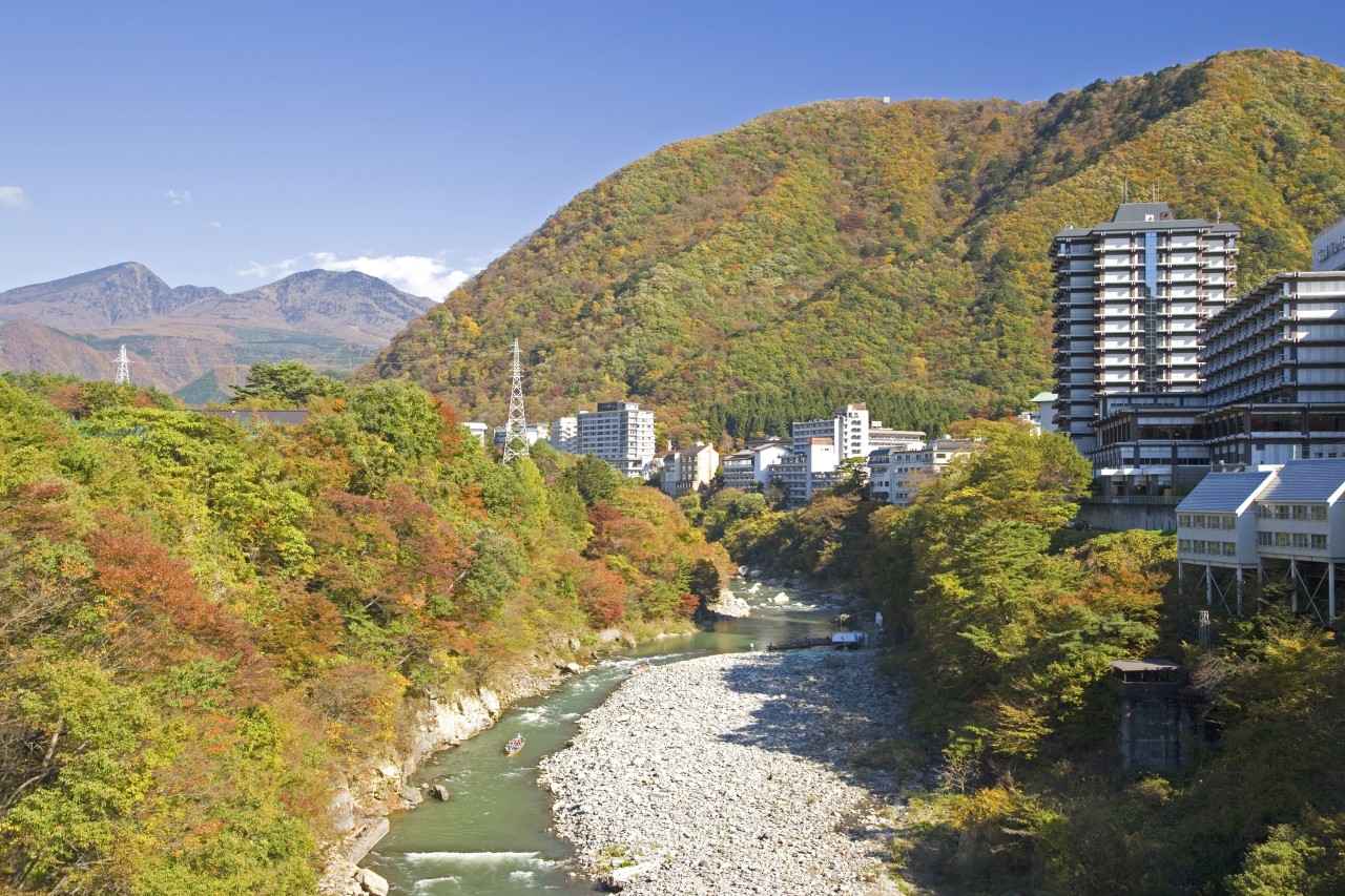 画像: istock/ gyro