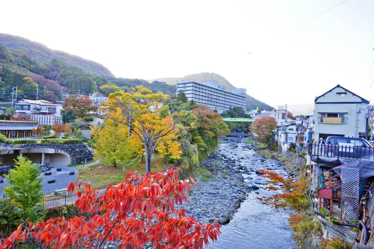 画像: istock/thanyarat07