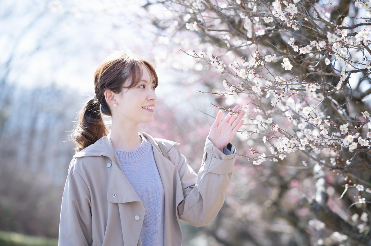 画像: JALカードと共に、春の秩父へショートトリップ。自然と歴史に触れるリフレッシュ旅