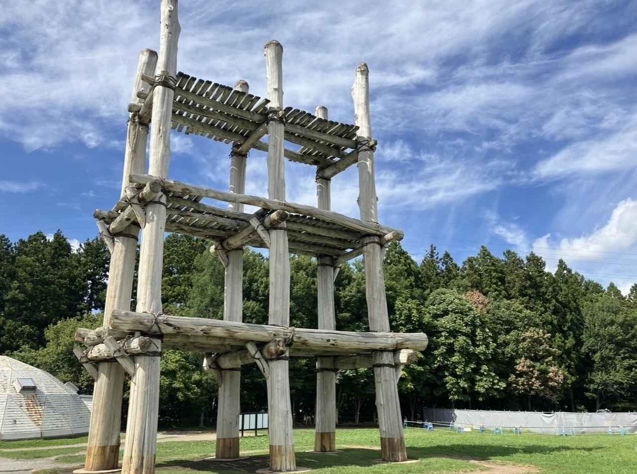 画像1: 見どころ満載！三内丸山遺跡巡り