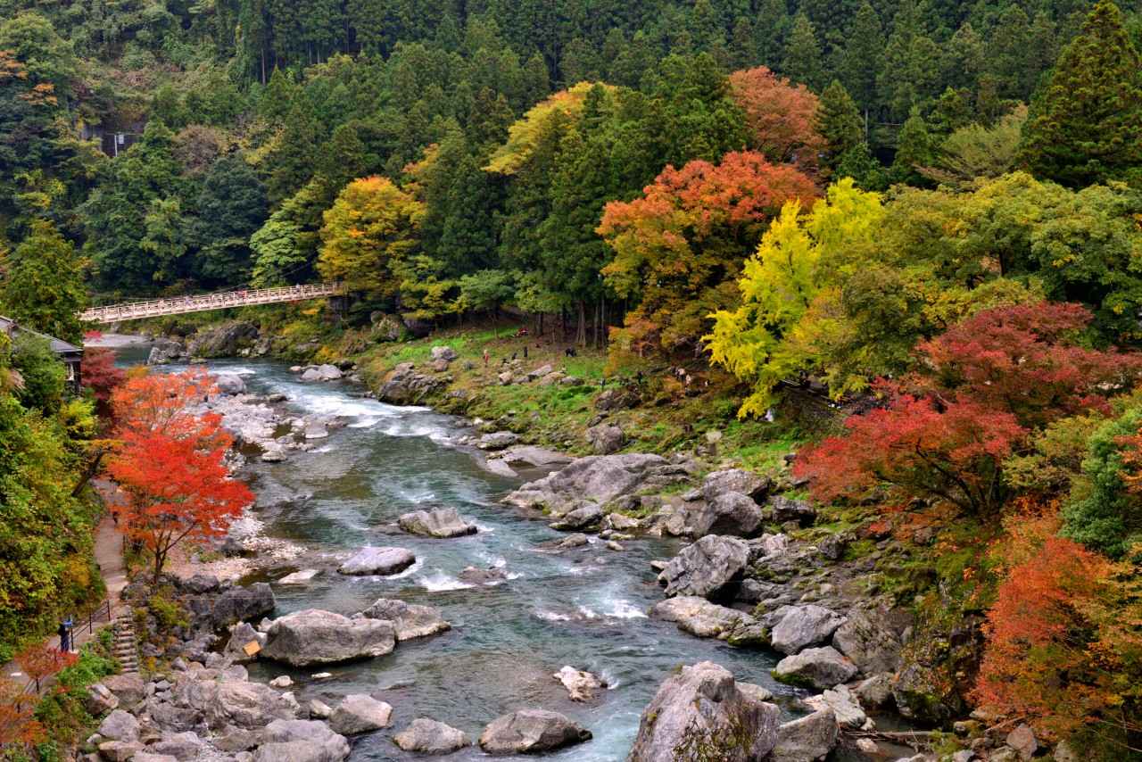 画像: istock/magicflute002