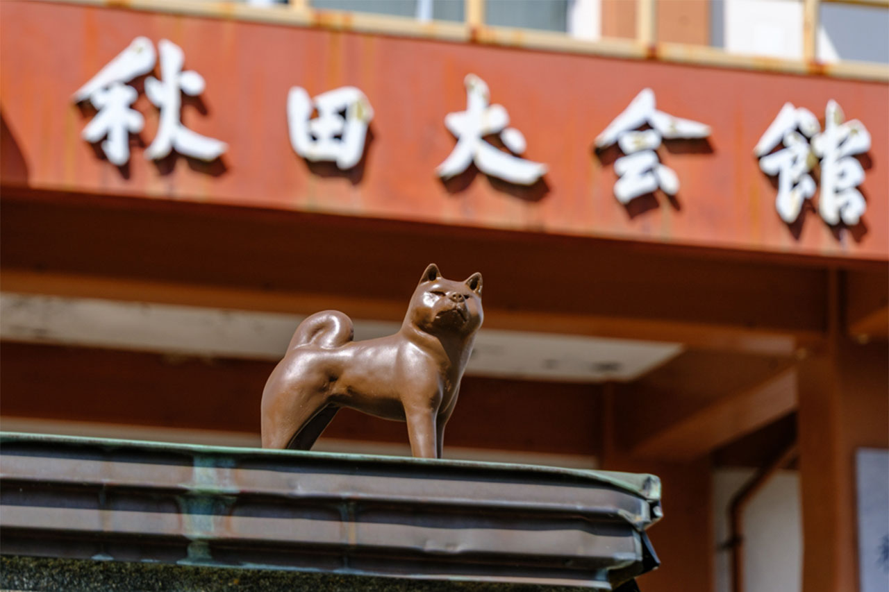 画像: 門柱には小さな秋田犬がひっそりと