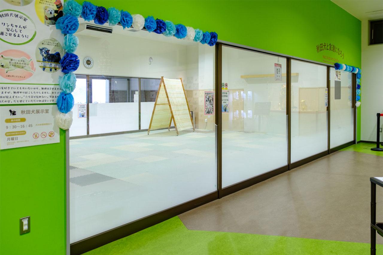 画像: 大きなガラス窓から秋田犬を見学できる、秋田犬展示室