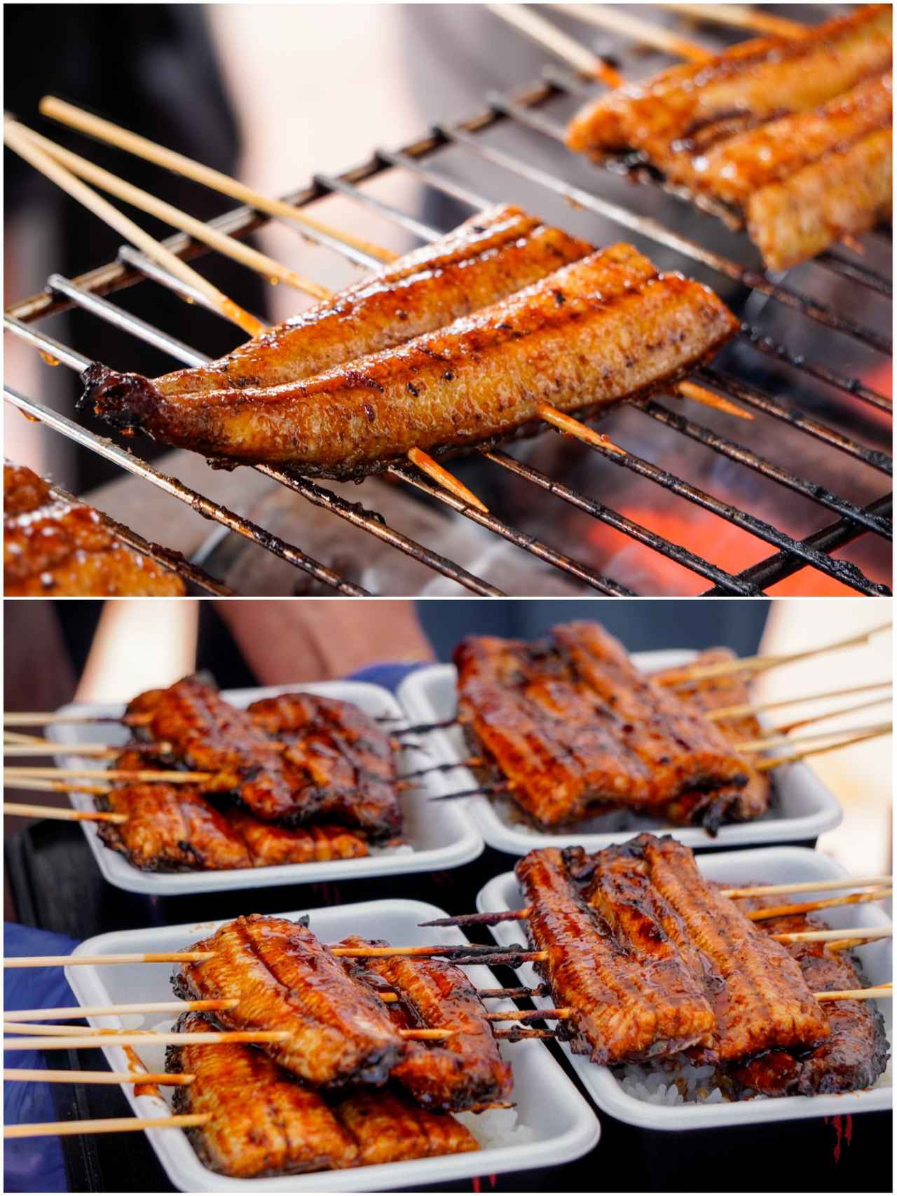 画像3: うなぎのつかみ捕り体験！？「海湖館」