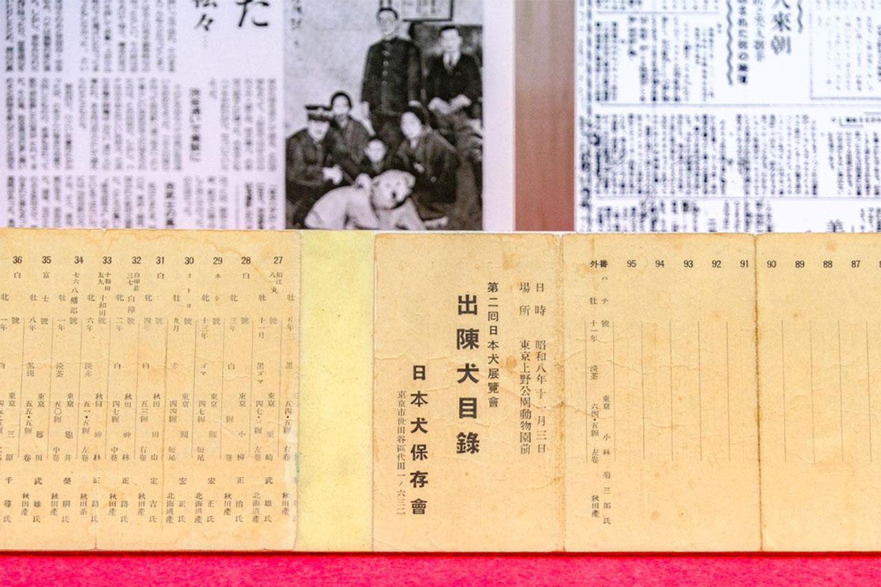 画像: 博物室では、秋田犬と保存会の歩みや展覧会の様子、暮らしに寄り添ってきた秋田犬の写真などを目にすることができる。