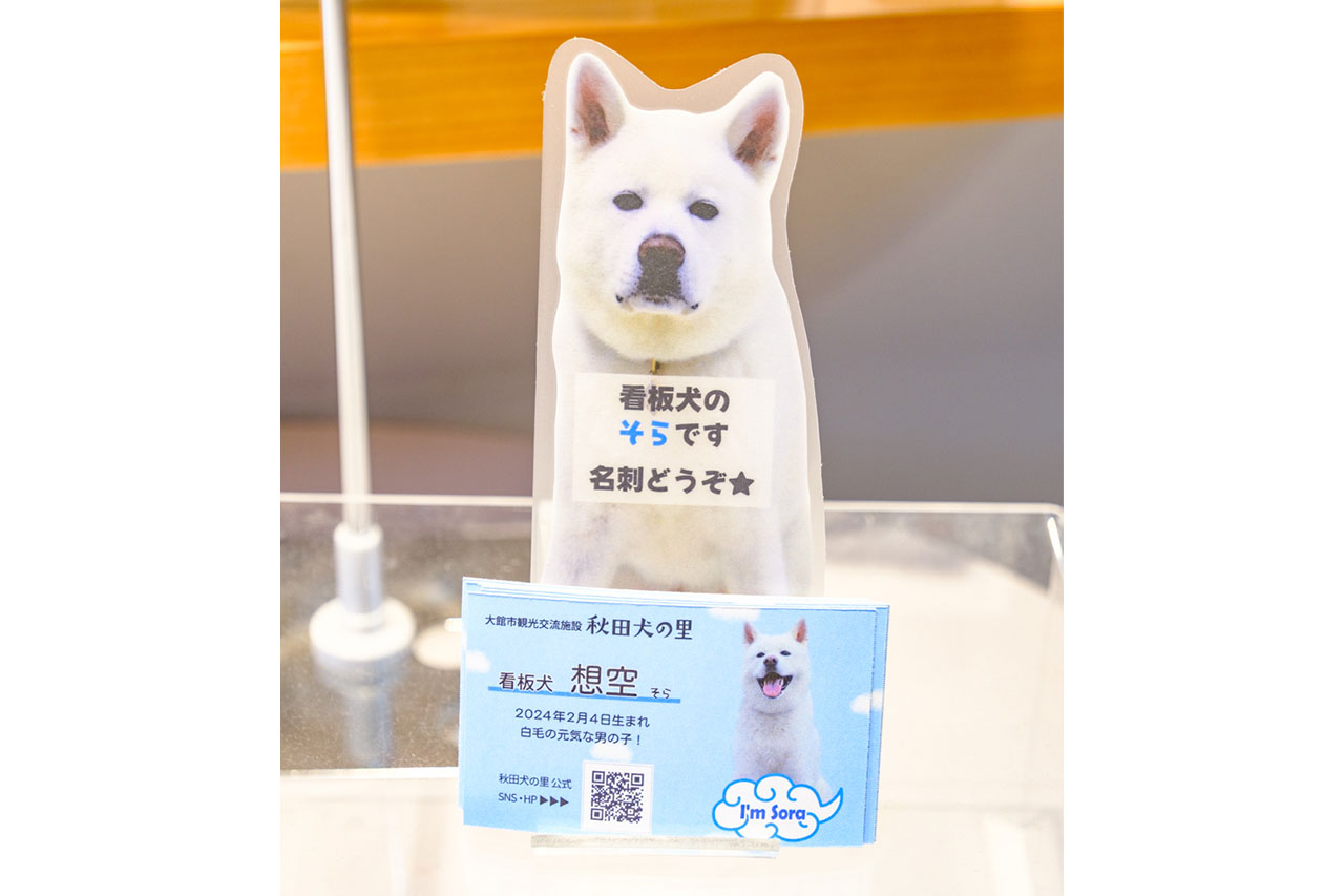 画像: 愛らしい瞳で迎えてくれる想空くん。名刺までもらえる