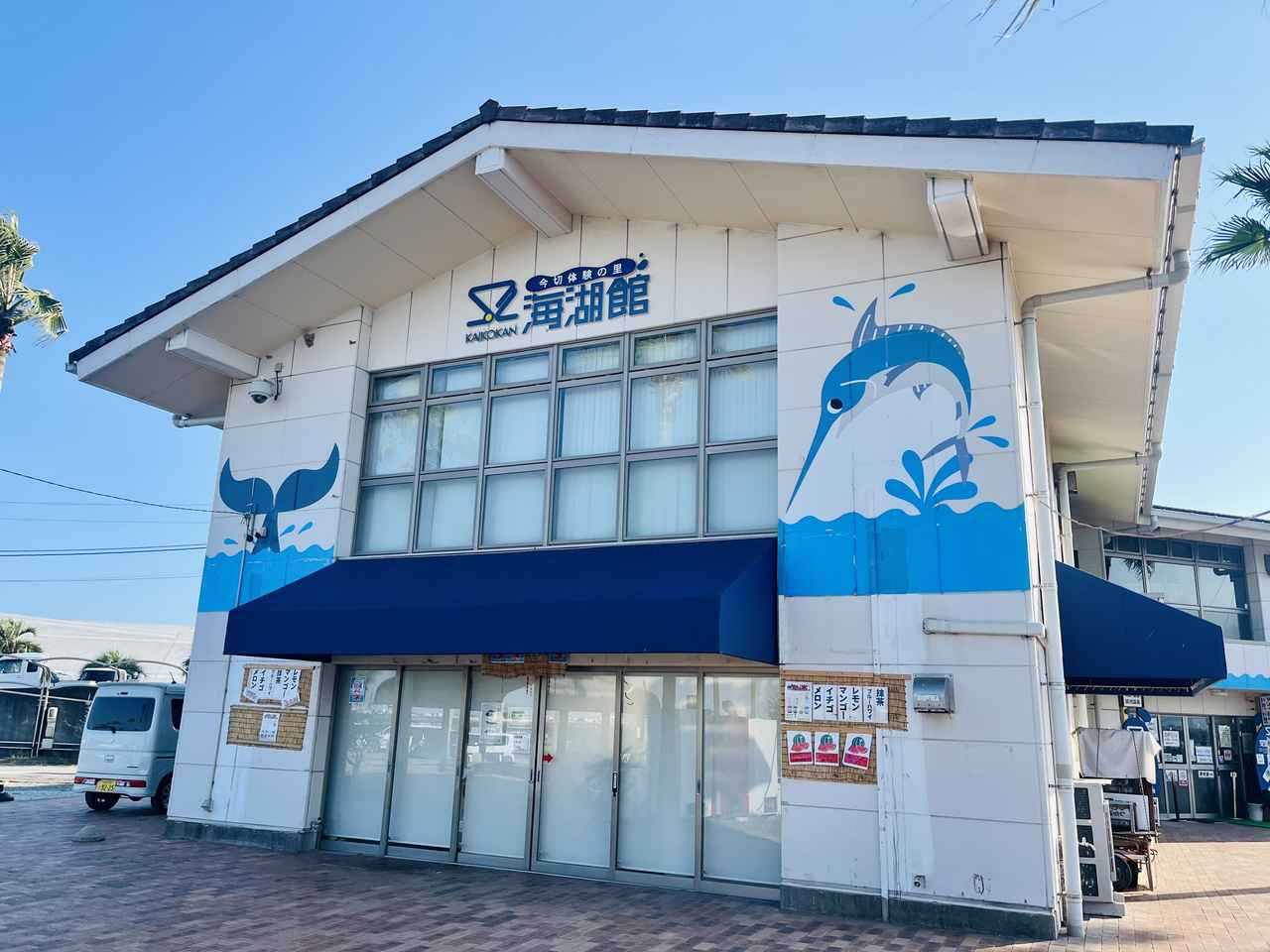 画像1: うなぎのつかみ捕り体験！？「海湖館」