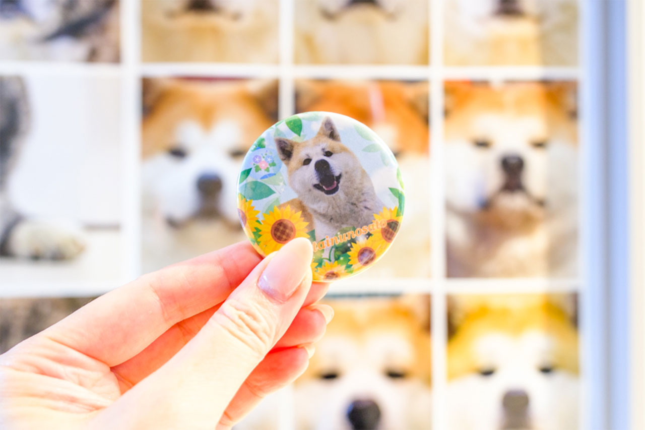 画像: 海外からの来館者も多く、外国人客には缶バッジのプレゼントも。2024年末には来館者100万人を達成