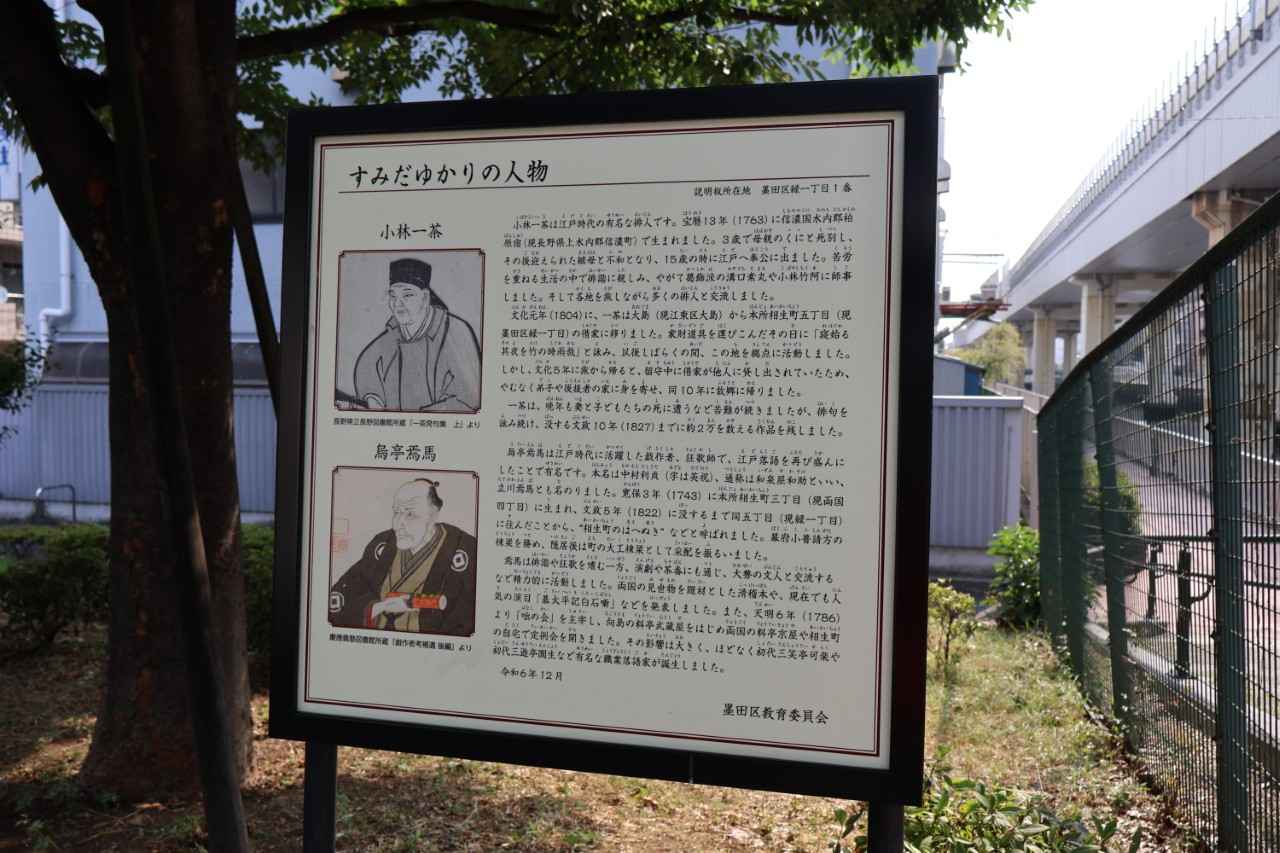 画像2: ひとり、気ままに、1万歩旅〈東京編〉。清澄白河〜押上でトレンドや定番も満喫！