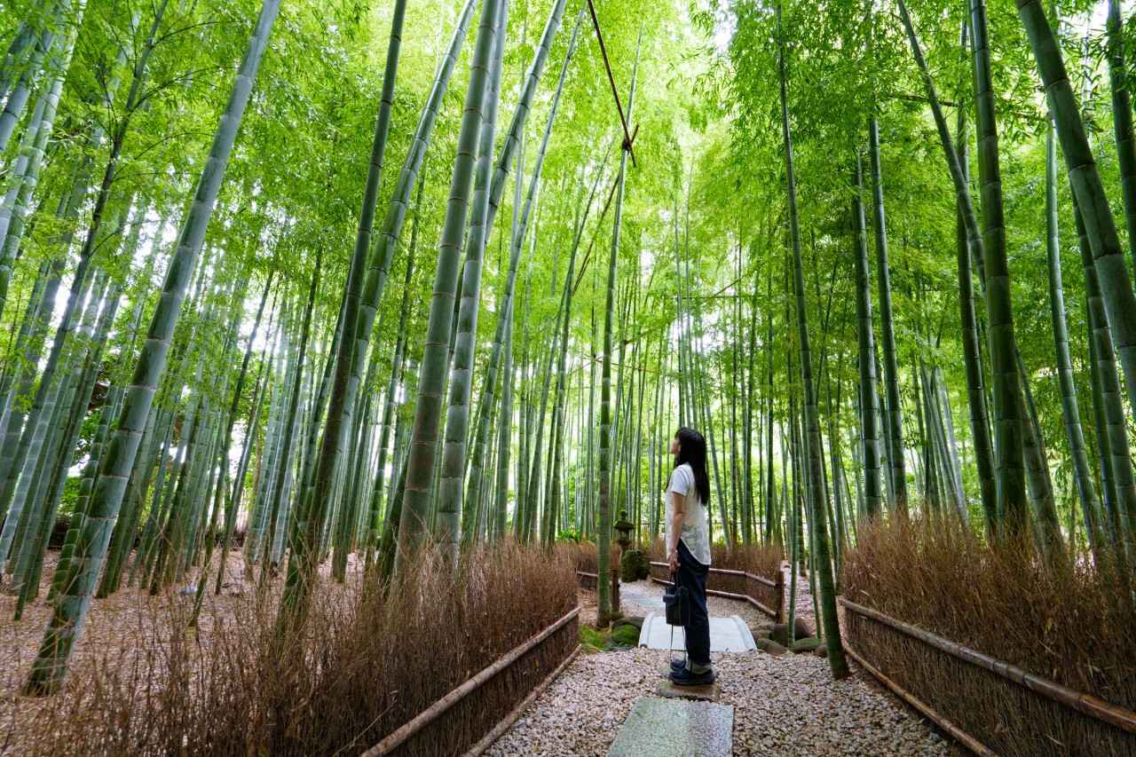 画像: ひとり、日帰り、1万円の旅！〜鎌倉編〜