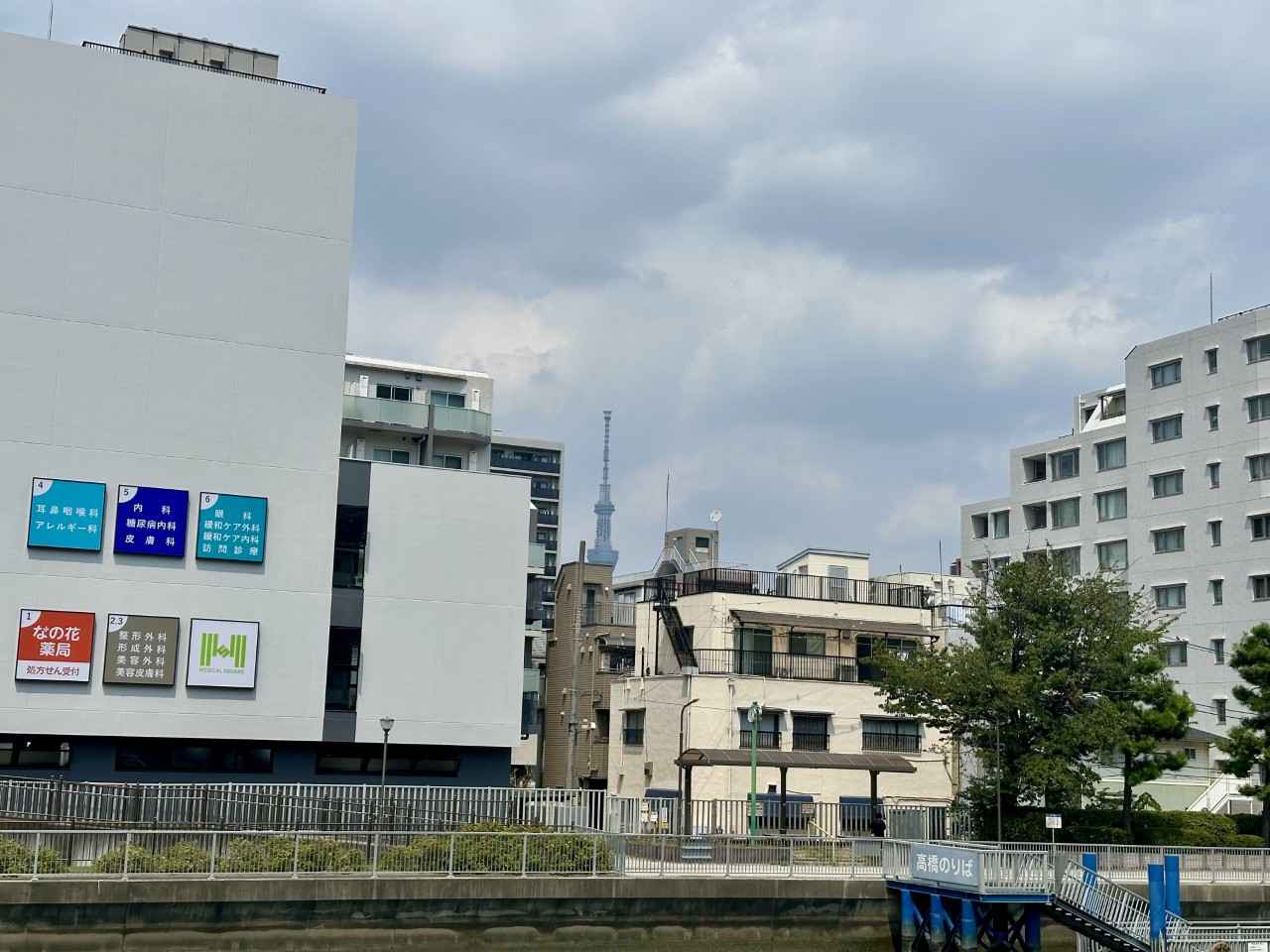 画像1: ひとり、気ままに、1万歩旅〈東京編〉。清澄白河〜押上でトレンドや定番も満喫！