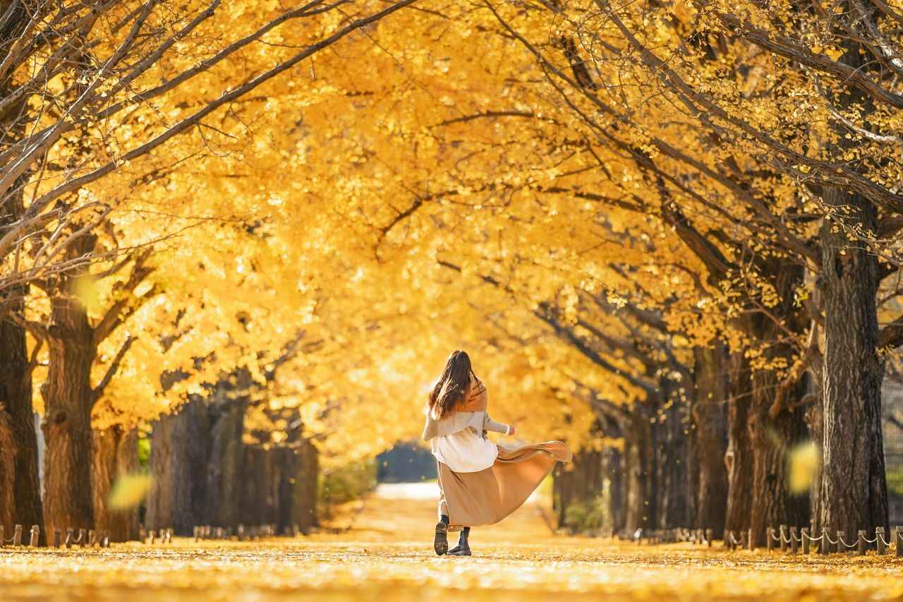 画像: 東京都内の紅葉スポット13選。ライトアップ情報・名所・穴場がまるわかり