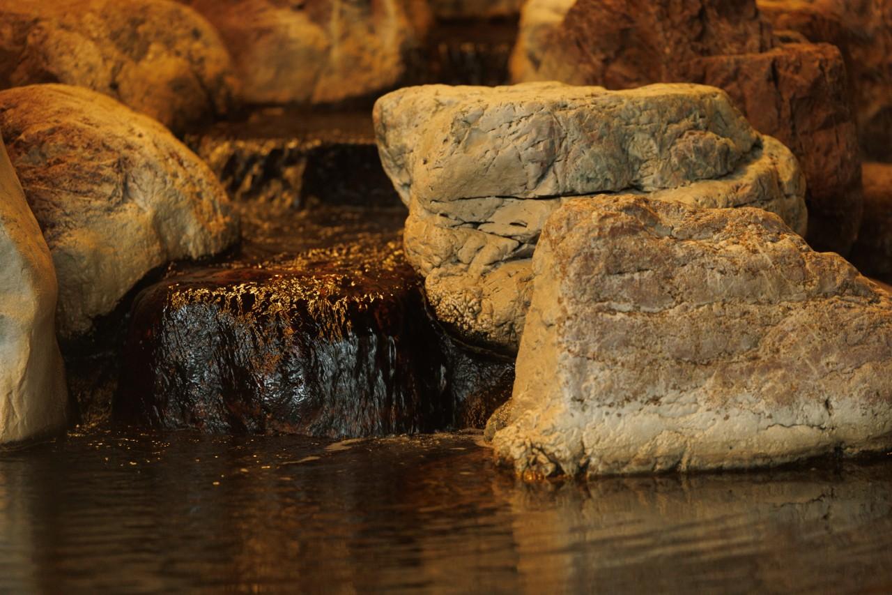 画像4: 【標茶町】自然と文化の共生を感じる。釧路湿原に佇む「ぽん・ぽんゆ」