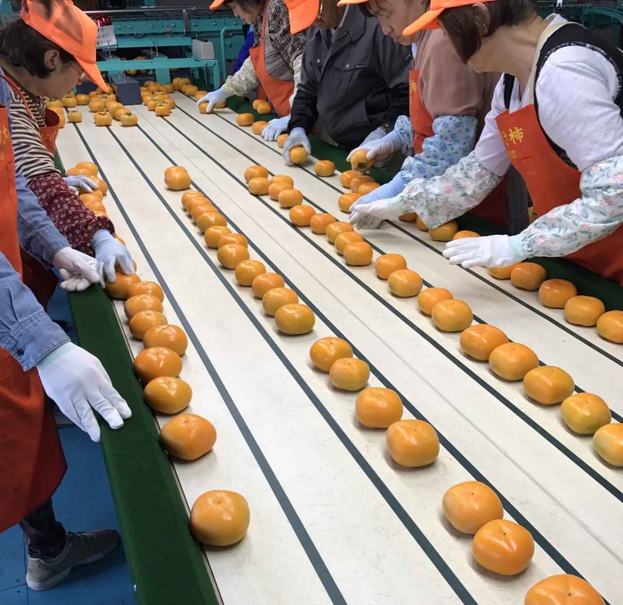 画像5: 佐渡の特産品である「おけさ柿」の特徴は?