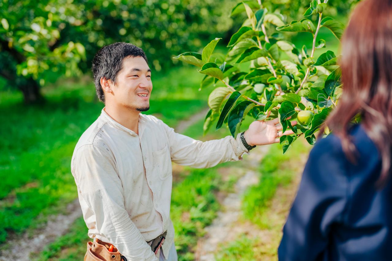 画像7: 佐渡の特産品である「おけさ柿」の特徴は?