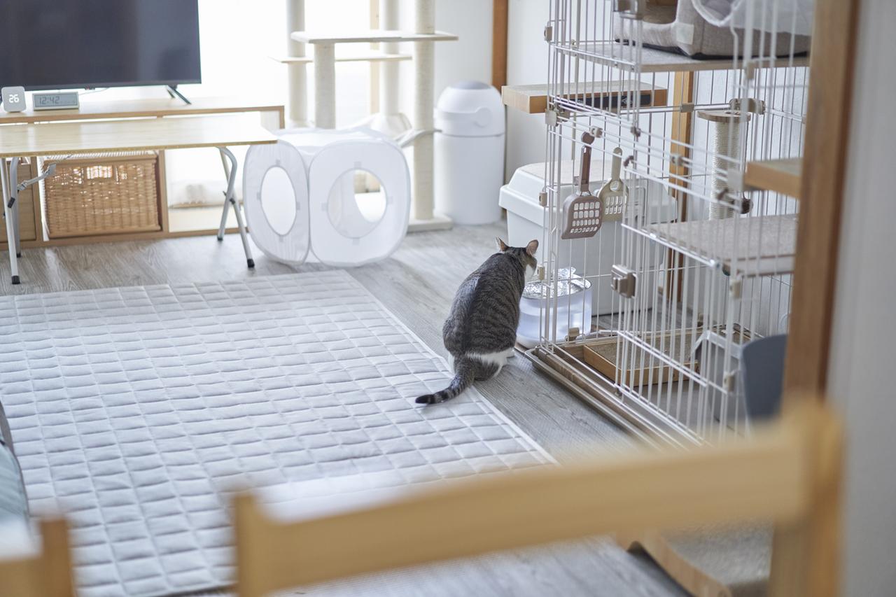 画像: iStock/Yagi-Studio