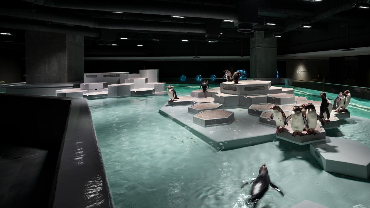 画像: 夕方ならではの楽しみ方が豊富な都市型水族館