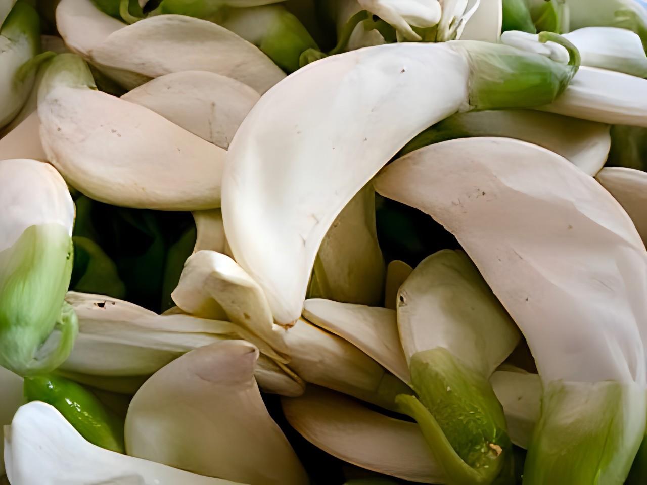 画像: Katuray（カトゥライ）