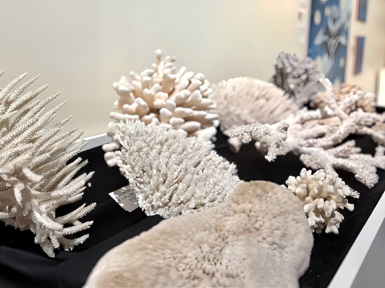 画像3: グアムを2泊3日で満喫！車なしで効率的に回るおすすめモデルコース