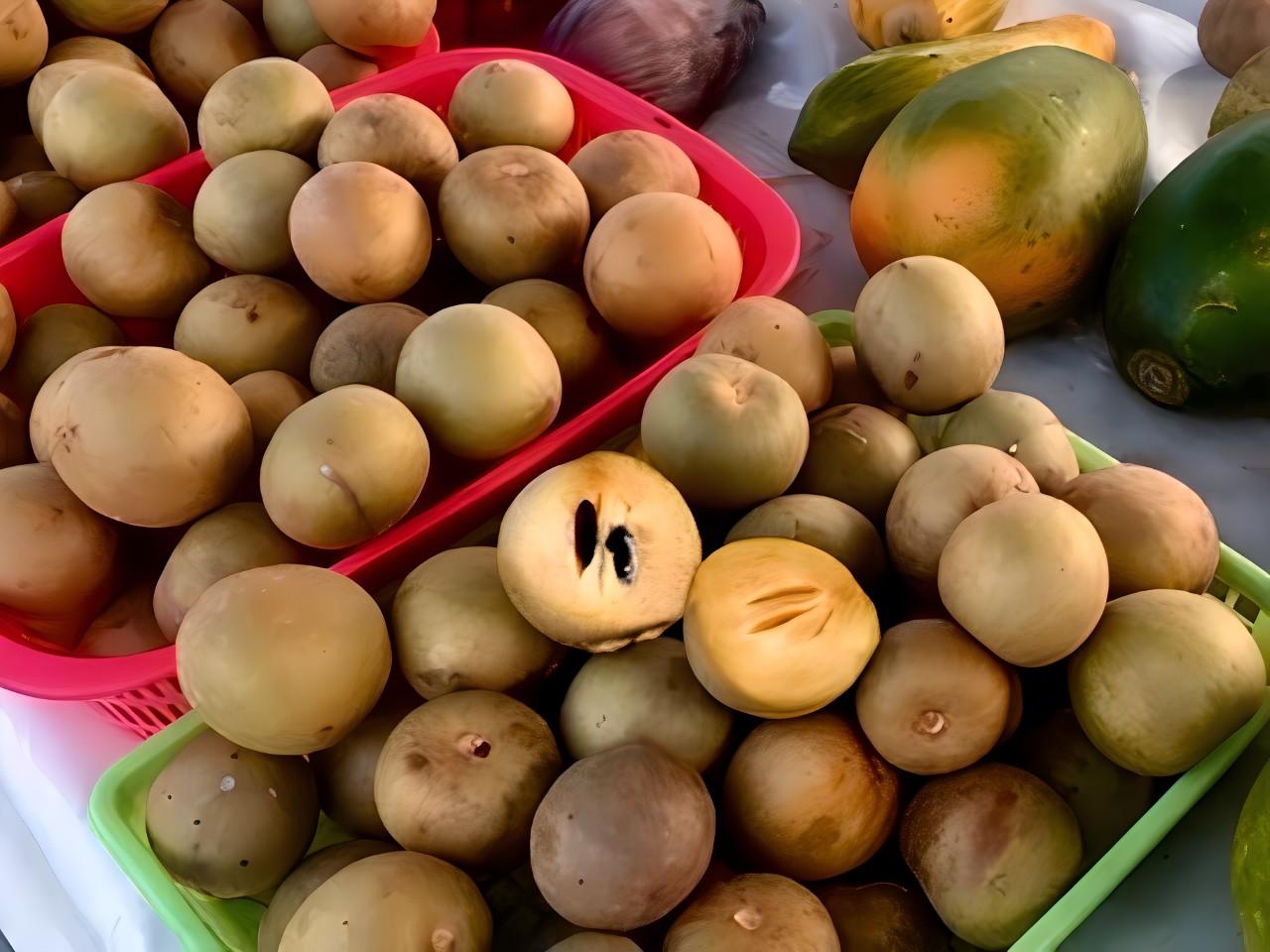 画像: Chico（チコ）